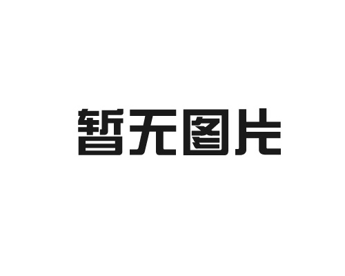 【一線投影】用快干、實(shí)干奏響最美“奮進(jìn)贊歌”